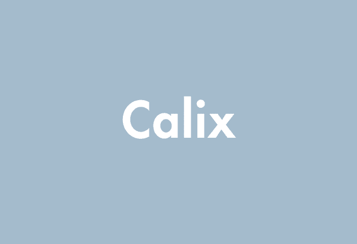 Calix meaning