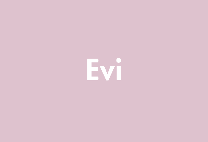 Evi meaning