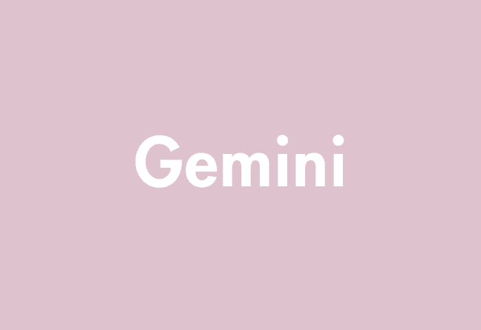 Gemini meaning