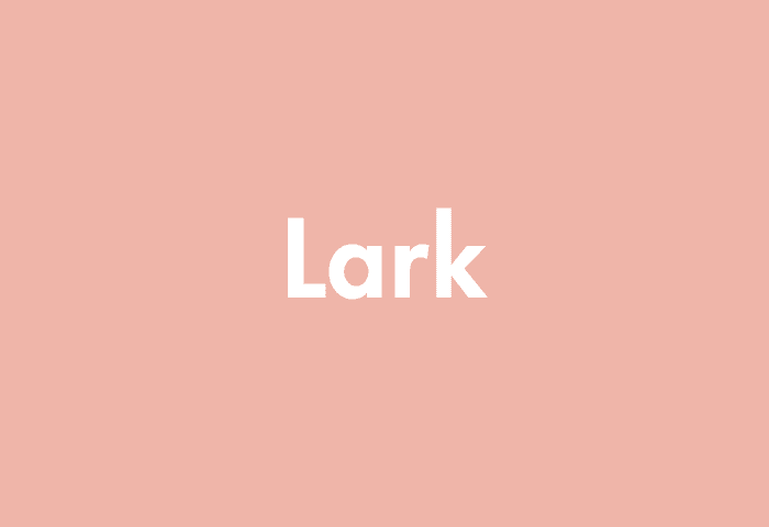 Lark meaning