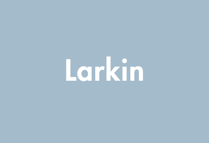 Larkin meaning