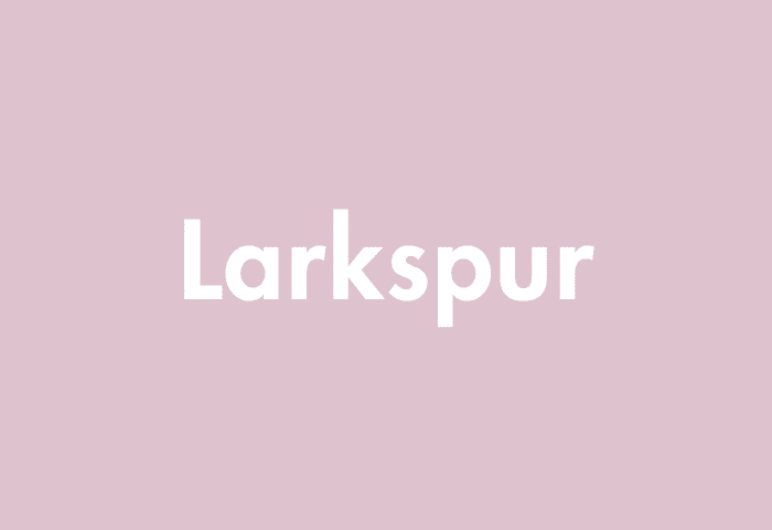 Larkspur meaning