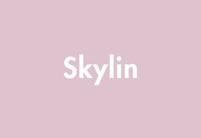 Skylin meaning
