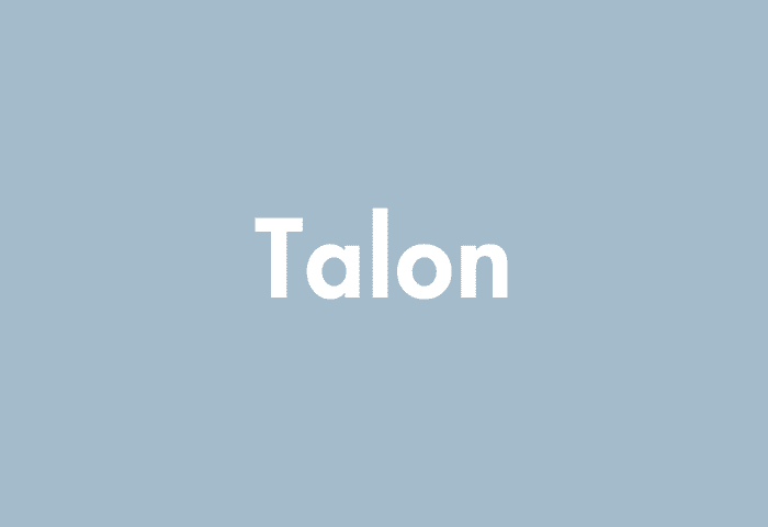 Talon meaning