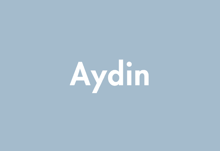 Aydin meaning