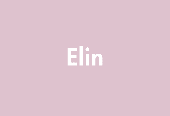 Elin meaning