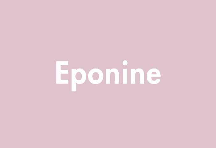 Eponine meaning