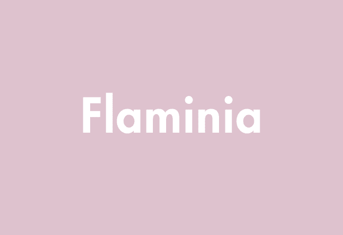 Flaminia meaning