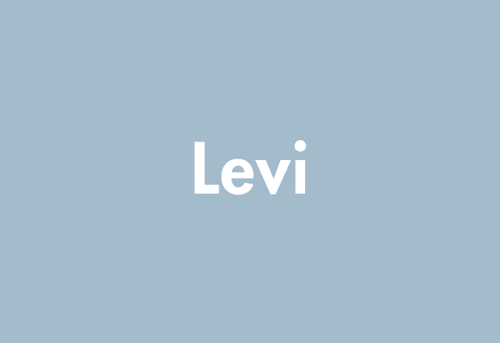 Levi meaning