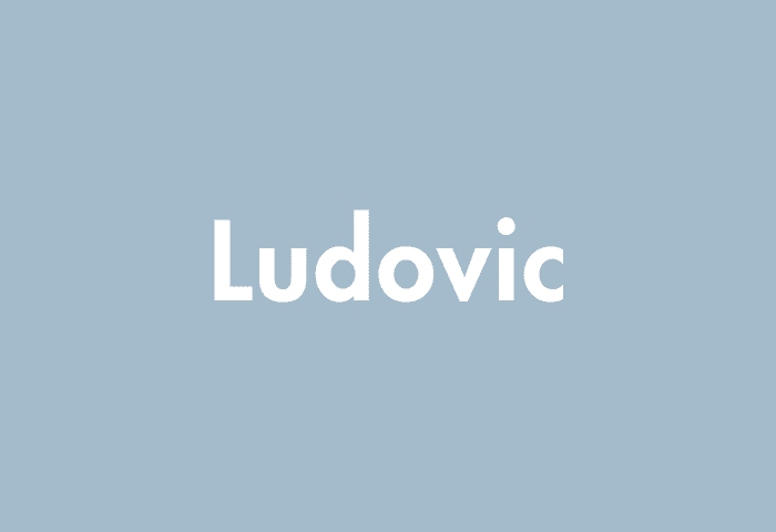 Ludovic meaning