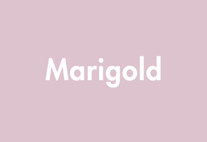 Marigold meaning