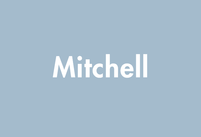 Mitchell meaning