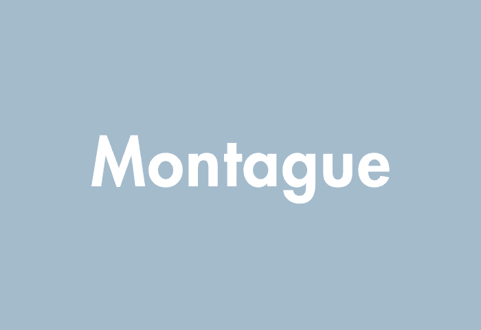 Montague meaning