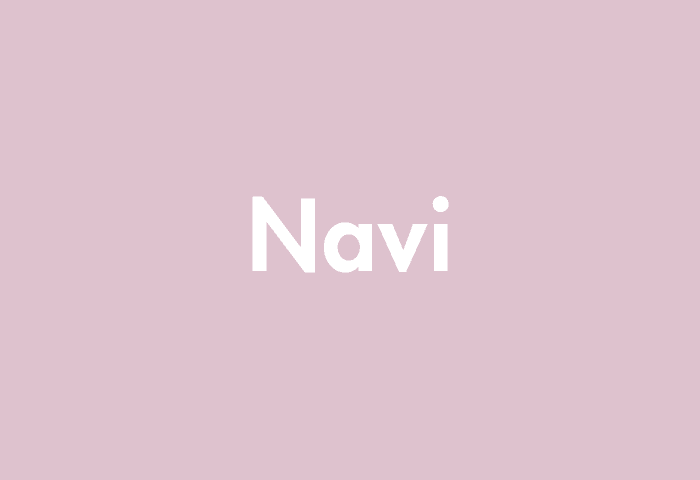 Navi meaning