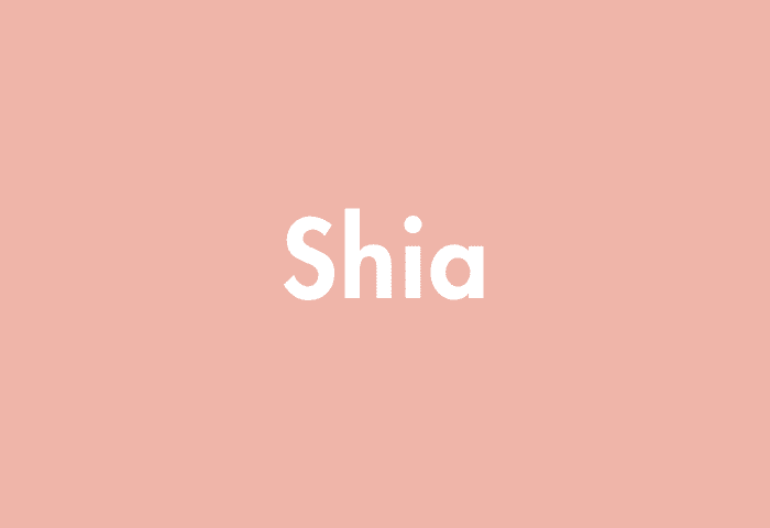 Shia meaning