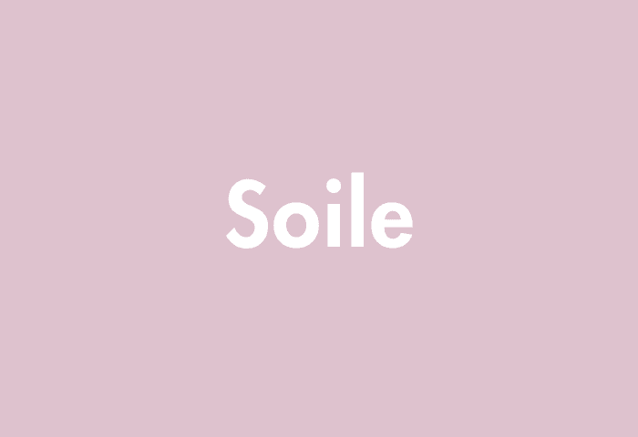 Soile meaning