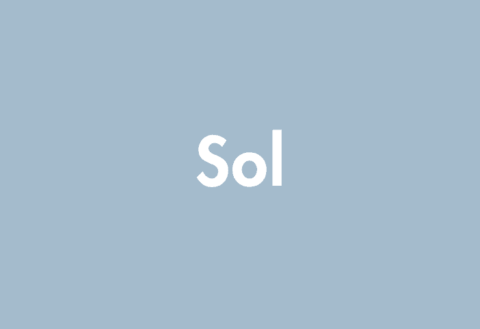 Sol meaning
