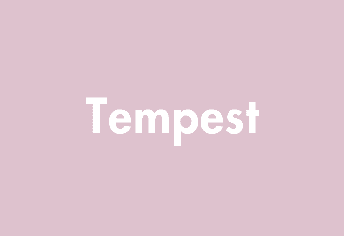 Tempest meaning
