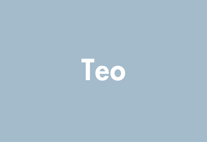 Teo meaning