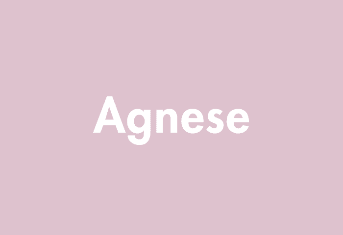 Agnese meaning
