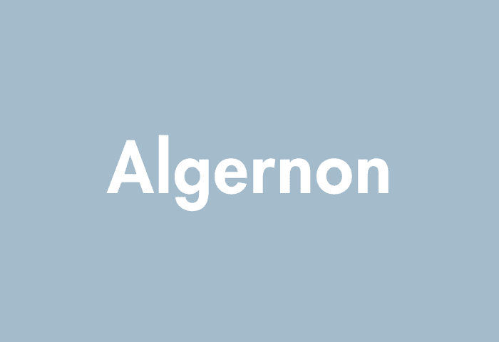 Algernon meaning
