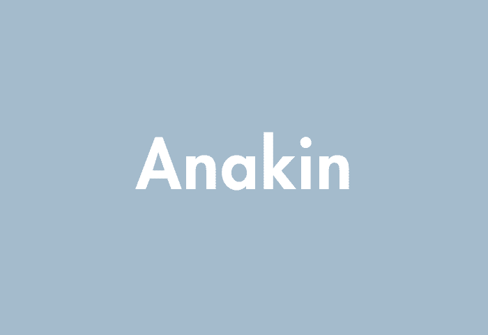 Anakin meaning