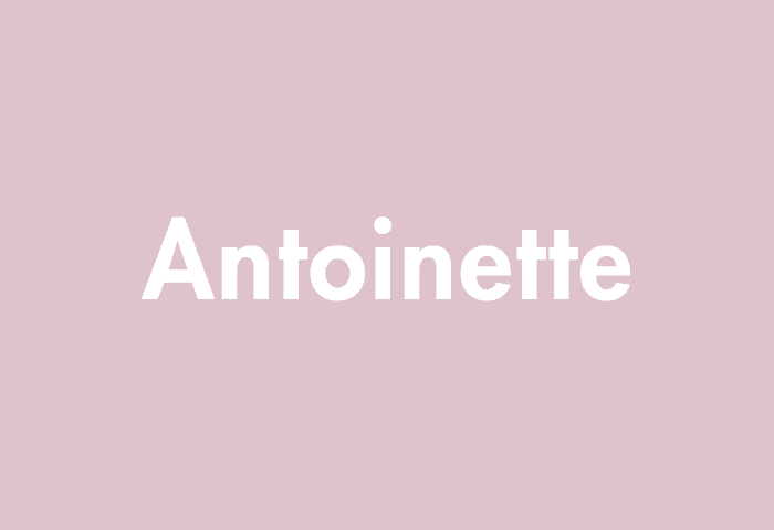 Antoinette meaning