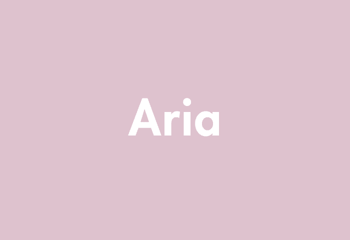 Aria meaning
