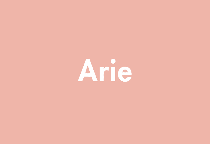 Arie meaning