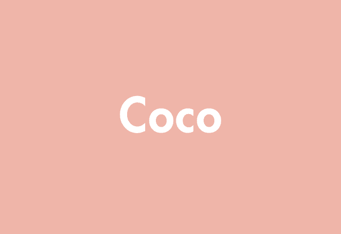 Coco meaning