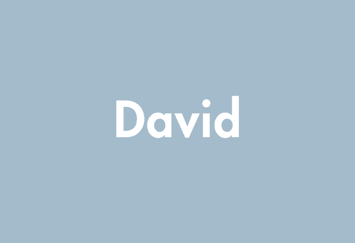 David meaning