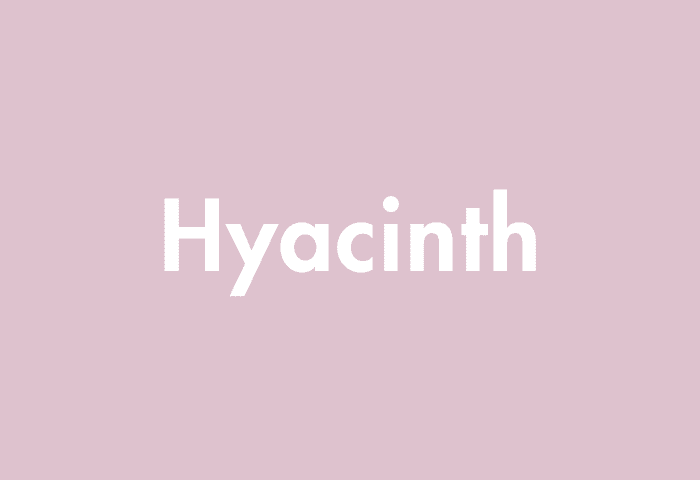Hyacinth meaning
