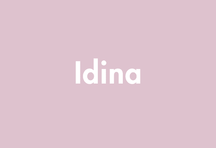 Idina meaning
