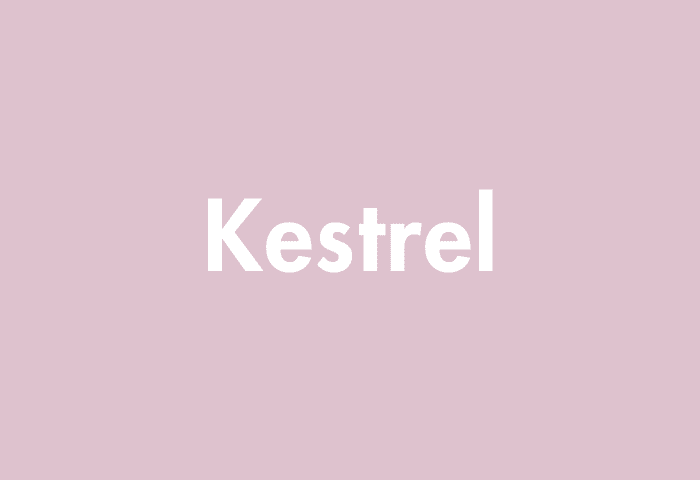 Kestrel meaning