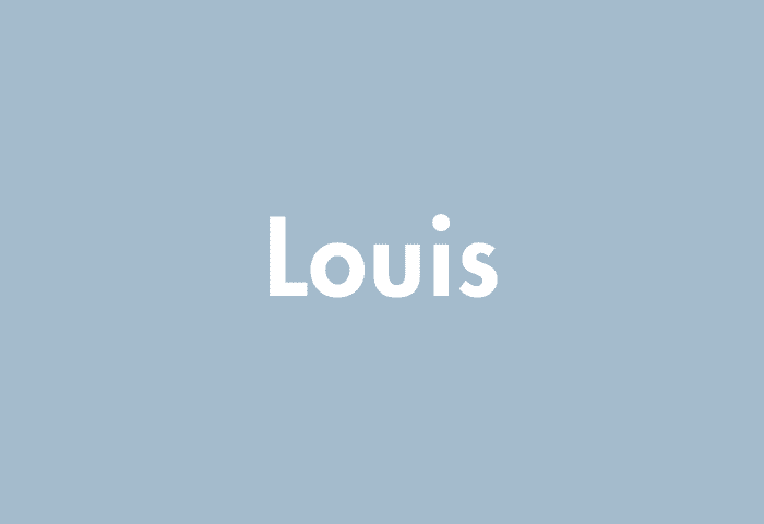 Louis meaning