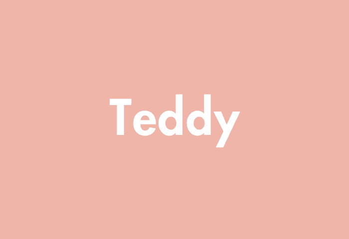 Teddy meaning