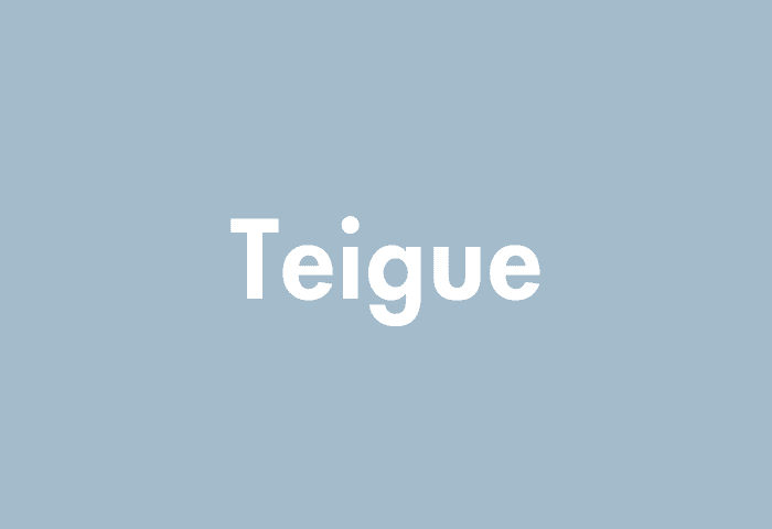 Teigue meaning