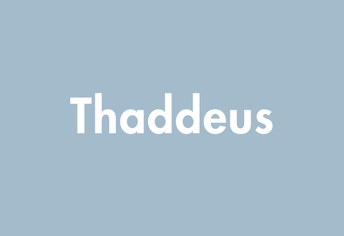 Thaddeus meaning