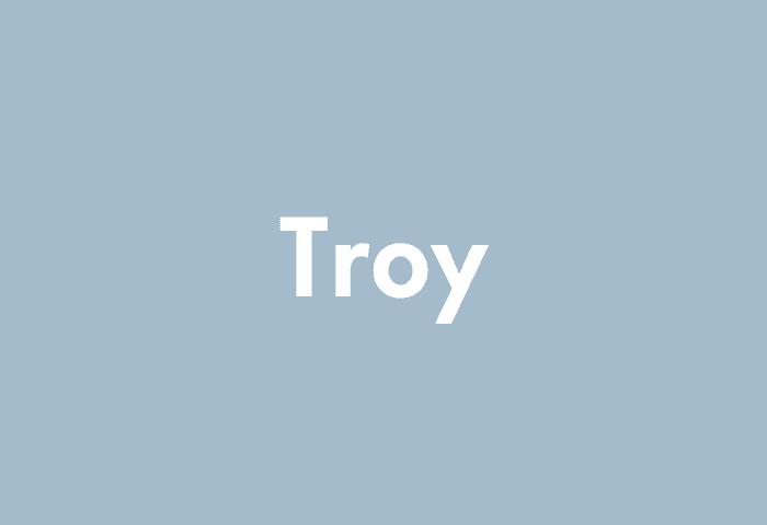 Troy meaning