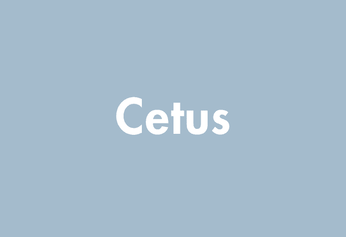 Cetus meaning