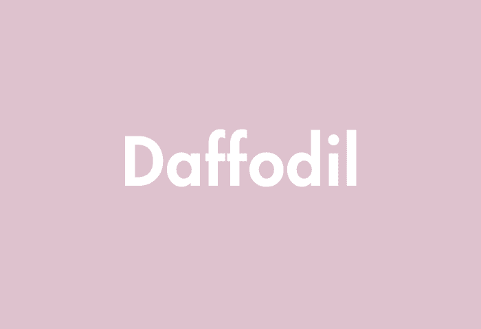 Daffodil meaning
