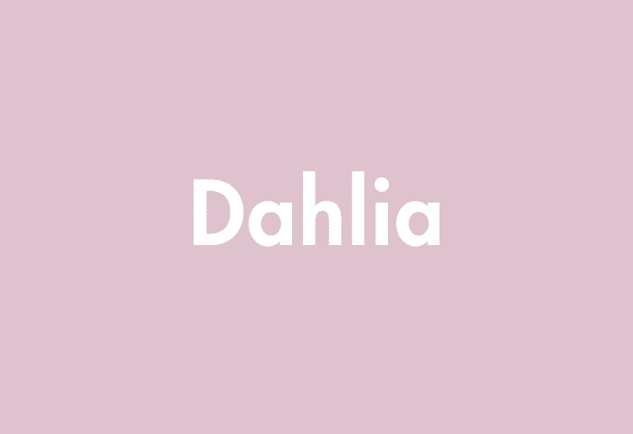Dahlia meaning