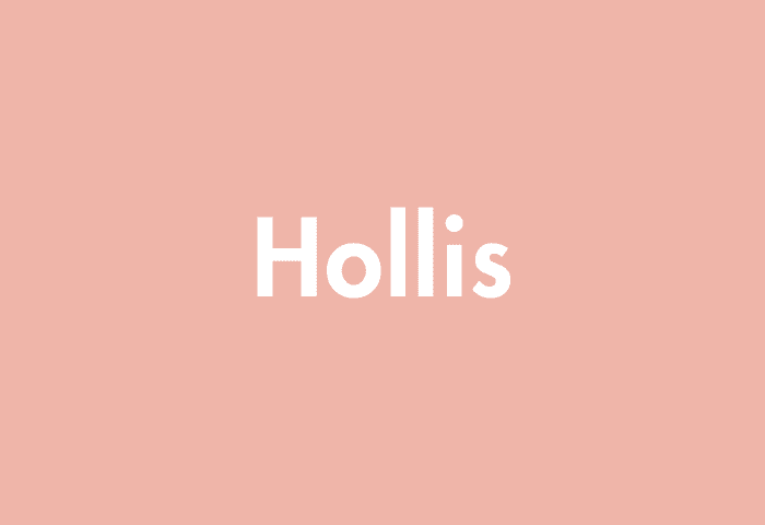 Hollis meaning