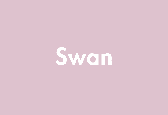 Swan meaning