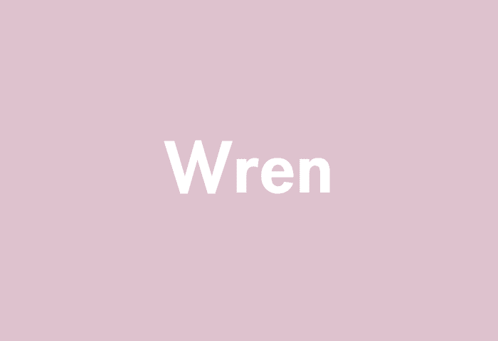 Wren meaning