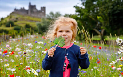 Irish Baby Names