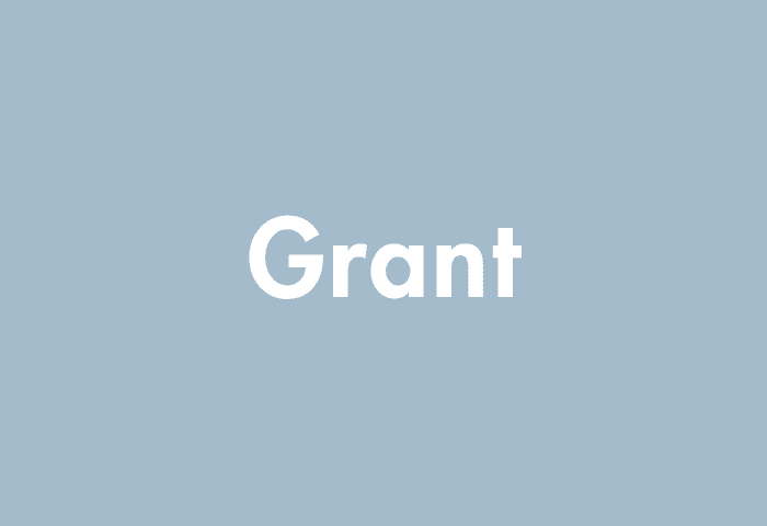 Grant meaning