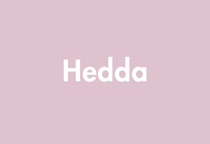 Hedda meaning