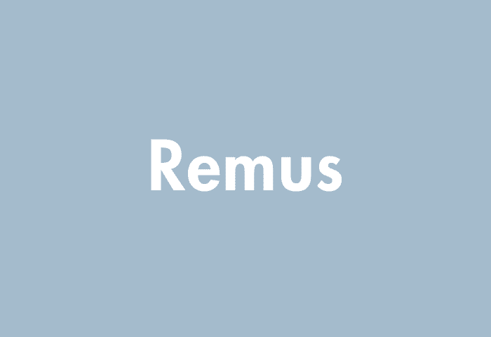Remus meaning
