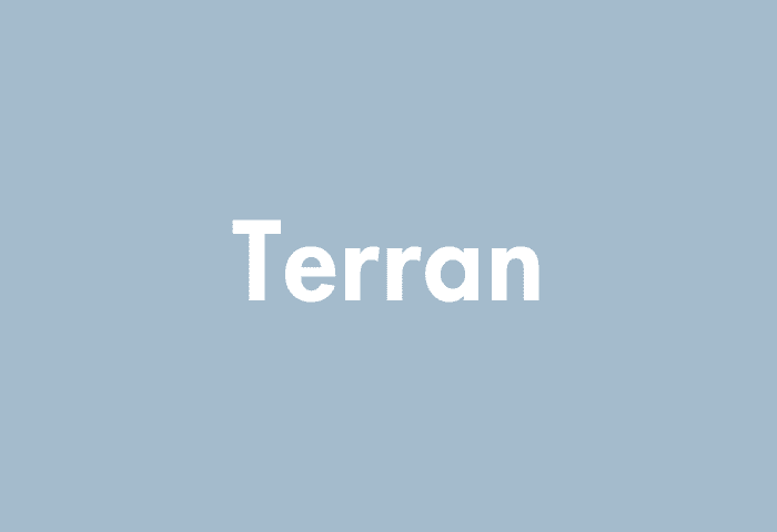 Terran meaning